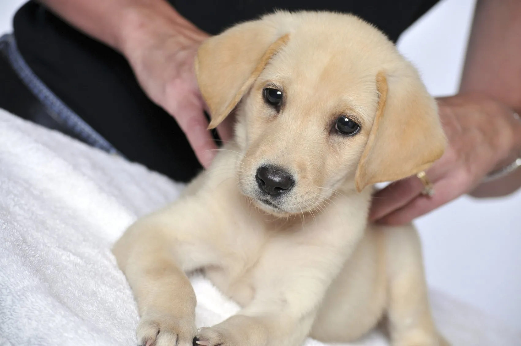Clínica Veterinaria Corralejo